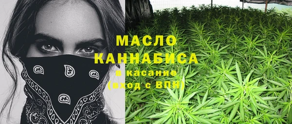 индика Армянск