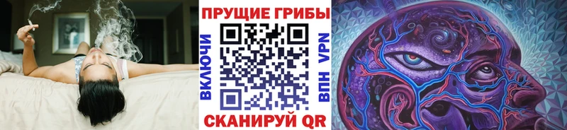 Псилоцибиновые грибы Magic Shrooms  Новоалтайск 